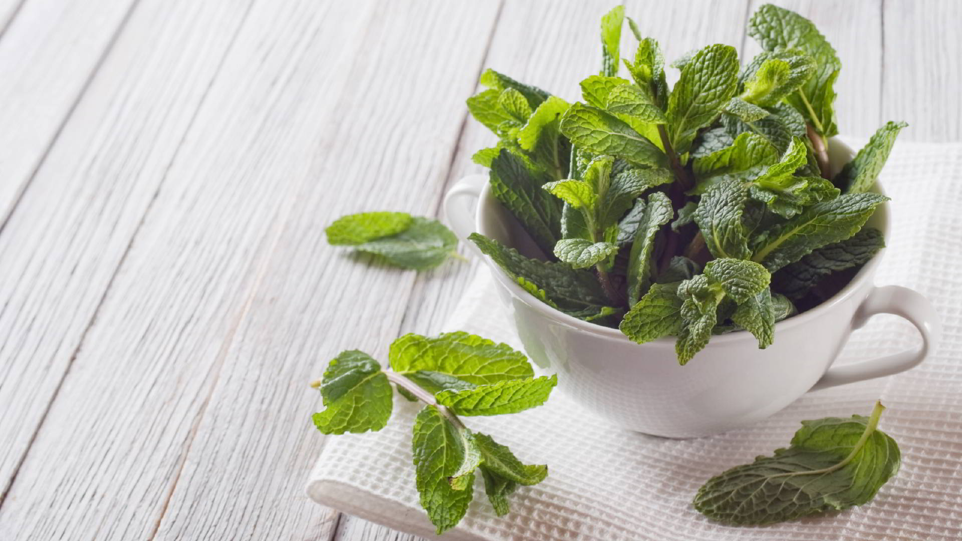 Ricetta Insalata estiva con kebab di pollo, salsa yogurt e menta